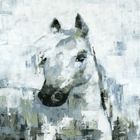 Парвез Таџ Магичен бел коњ Сликарство печатење на завиткано платно