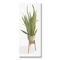 Tuphell Industries Casual Aloe Plant Hawering Green Leats Grany Planter Sainting Gallery Wrapped Canvas Print Wall Art, Дизајн