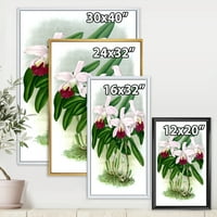 DesignArt 'Бела гроздобер орхидеја цвет i' традиционално врамен платно wallиден печатење